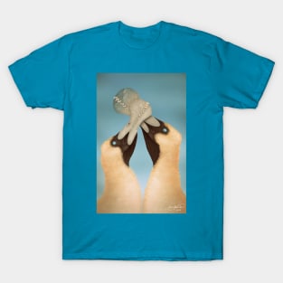 Tropeognathus in Love T-Shirt